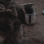 Memorias de un viejo amigo