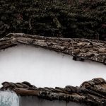 Cuatro paredes blancas