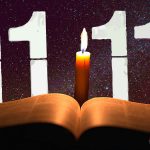 Año 1.|No. 11|2020