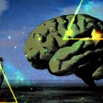 El cerebro
