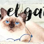 Seis disertaciones de Soy un gato de Natsume Soseki